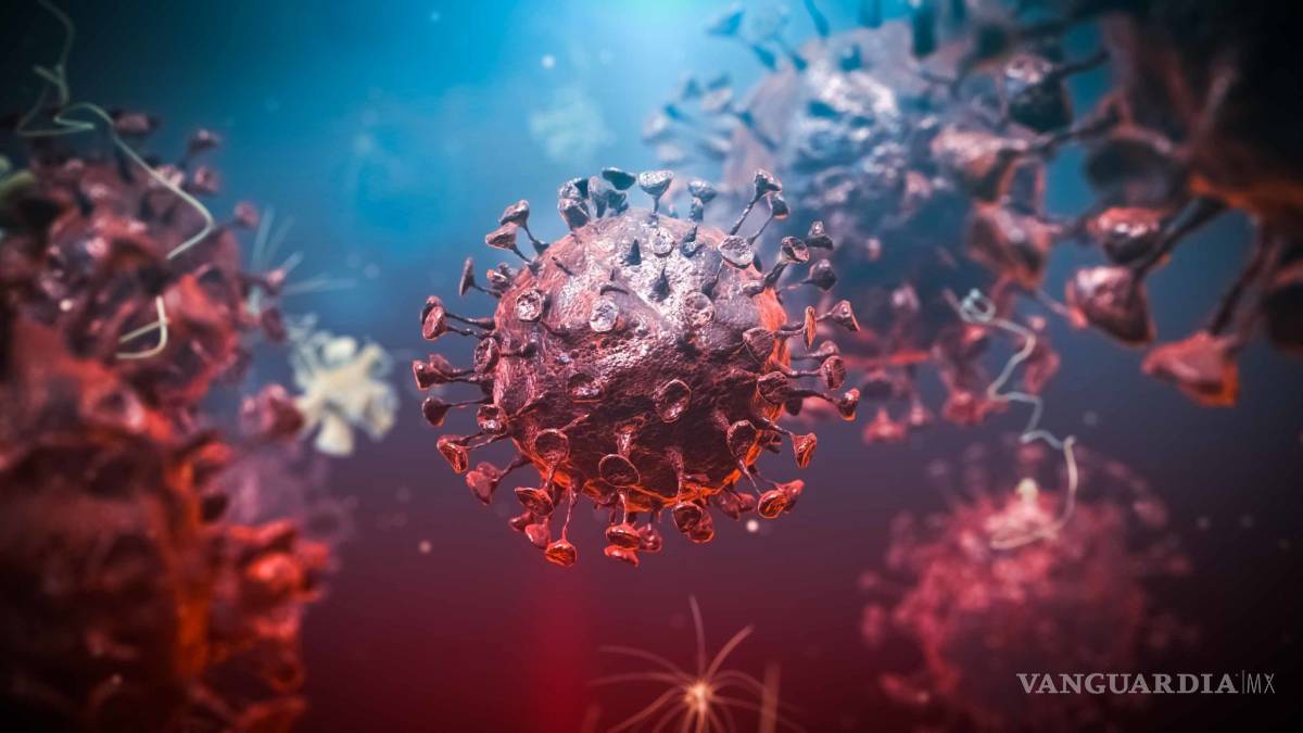 $!Científicos belgas descubren una proteína que ayuda a la propagación del COVID-19