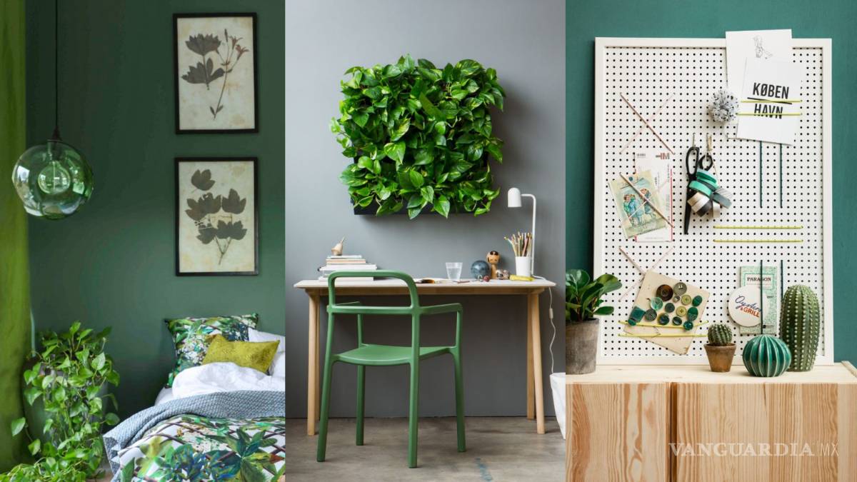 $!¡Adiós al calor! Refresca tu casa con ayuda del verde