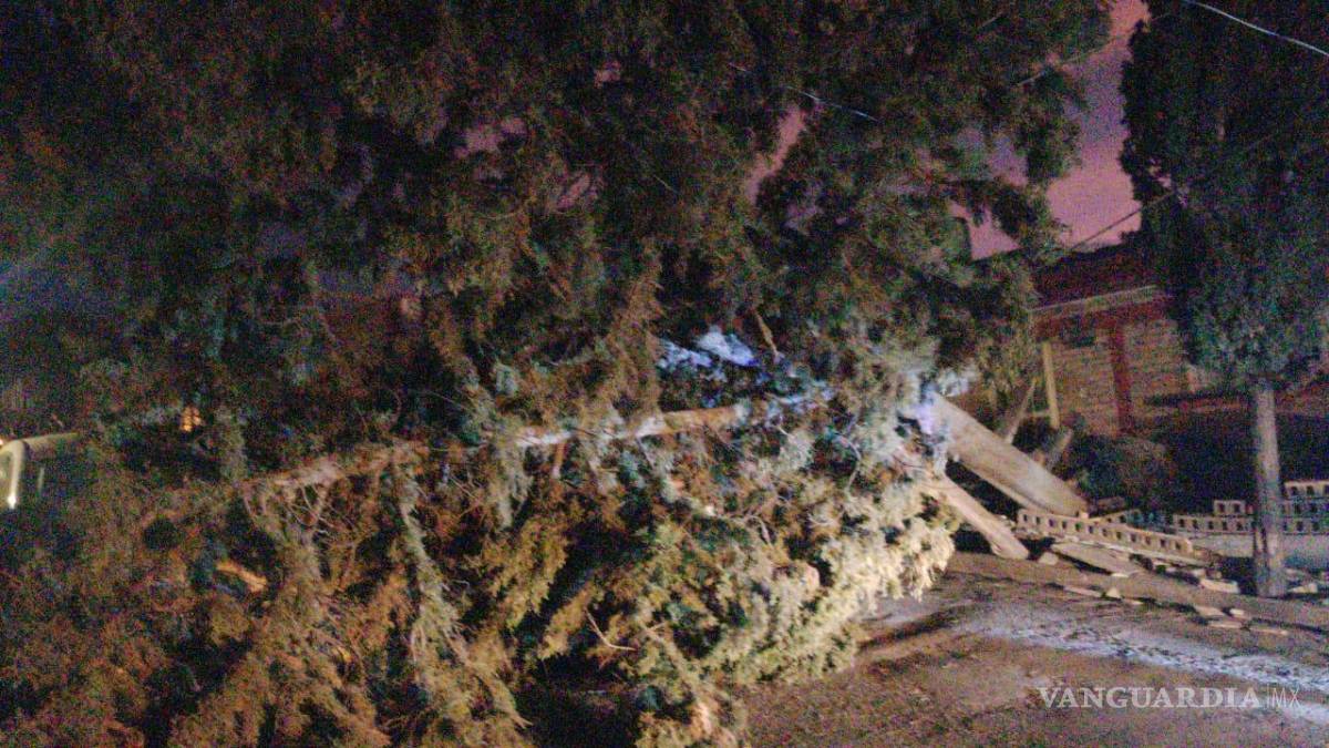 $!Fuertes vientos tumban parte de la fachada de un edificio en la zona Centro de Saltillo