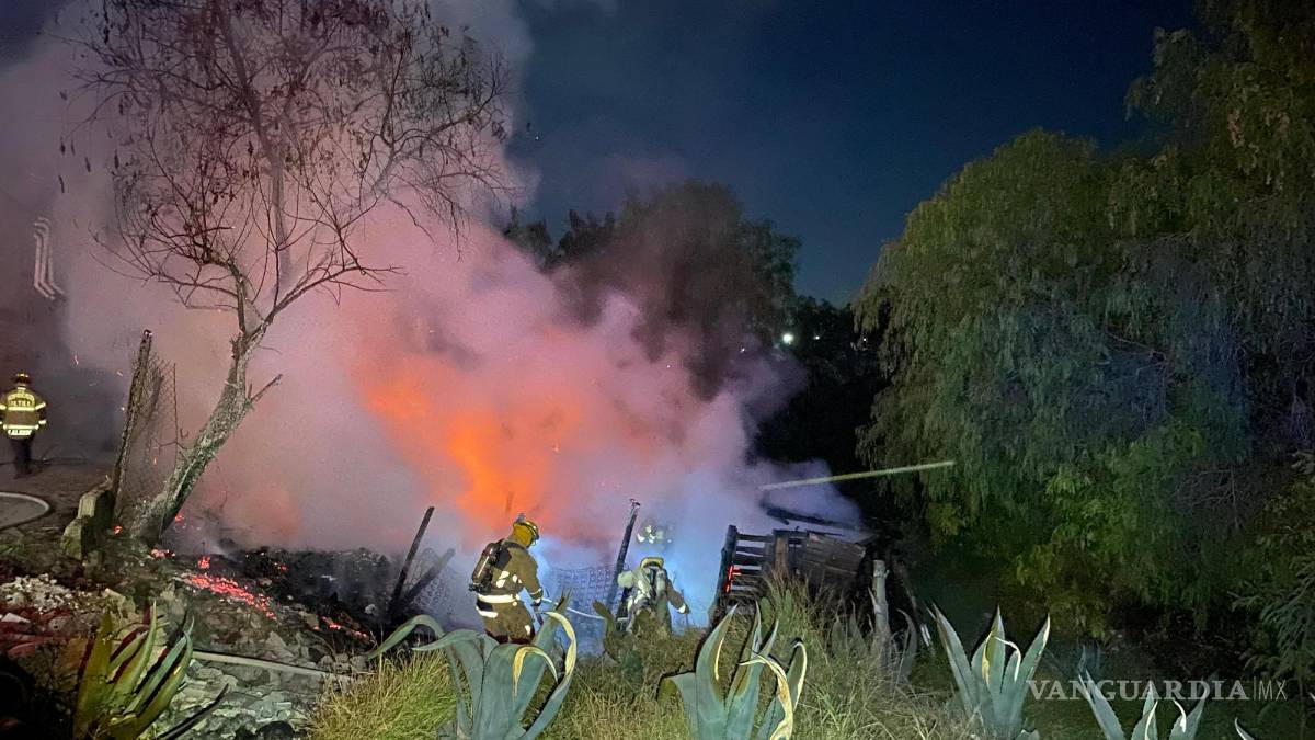 $!Restos calcinados de cerdos fueron encontrados tras sofocar las llamas.