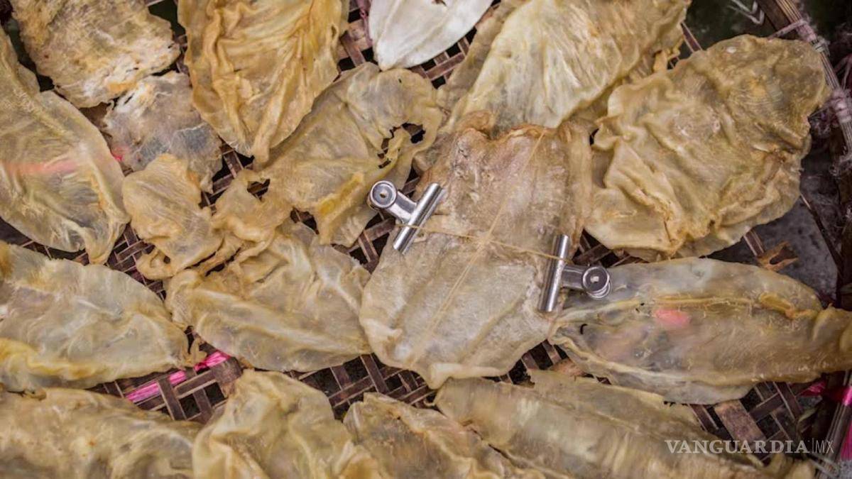 $!Locura entre cárteles por el control de la 'cocaína del mar'