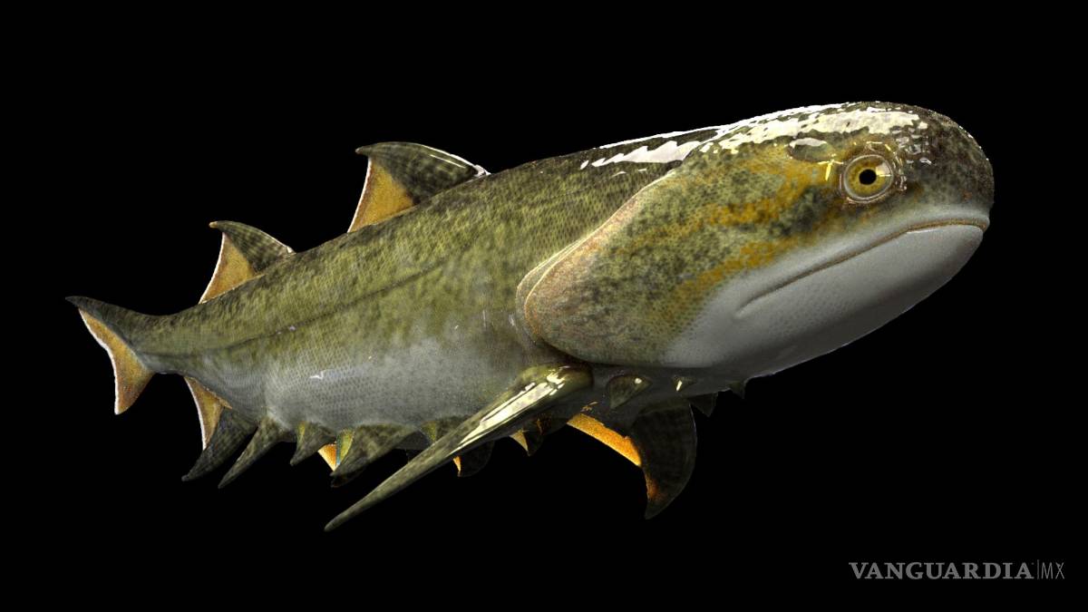 $!Fanjingshania renovata, uno de los peces fósiles, de más de 400 millones de años, que fueron encontrados por investigadores en el sur de China.