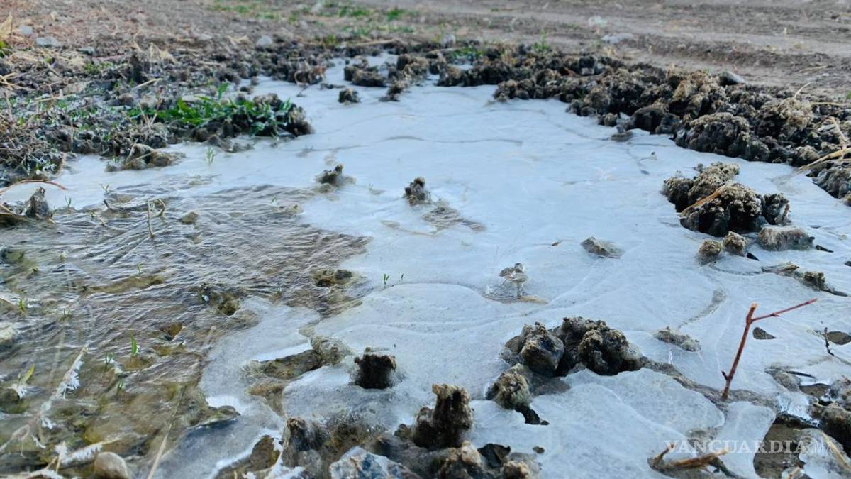 $!Llegan en Arteaga, Coahuila, a -14 grados y 3 pulgadas de hielo