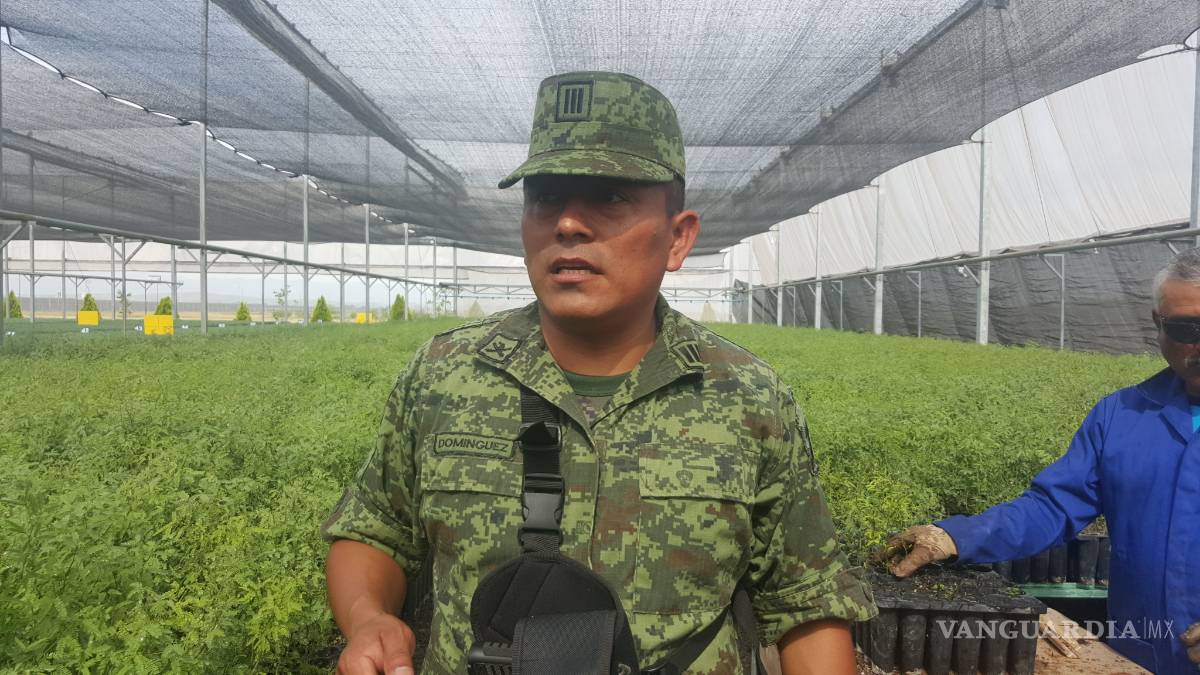 $!Vivero militar de Frontera producirá 2.5 millones de plantas