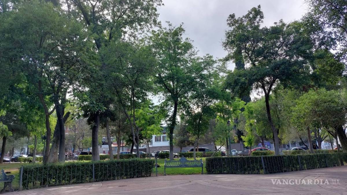 $!La Alameda es de las consentidas para ejercitarse en Saltillo.