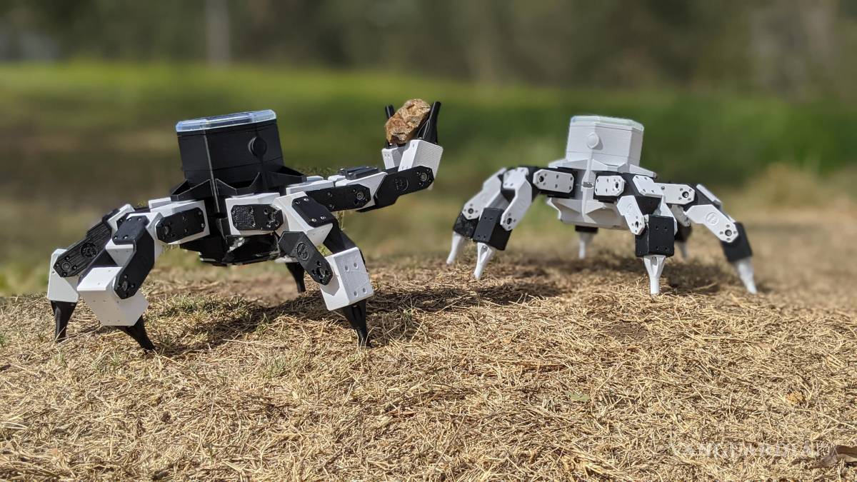 Por qué los robots también van a la escuela?