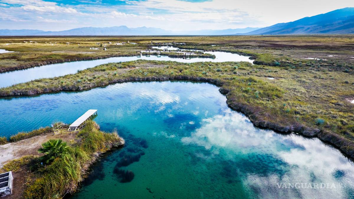 Pronatura Noreste gana amparo a Conagua; Estado está obligado a preservar Cuatro Ciénegas