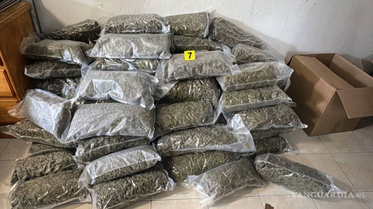 Cateo a inmueble en el centro de Monterrey deja el aseguramiento de 89 bolsas con marihuana
