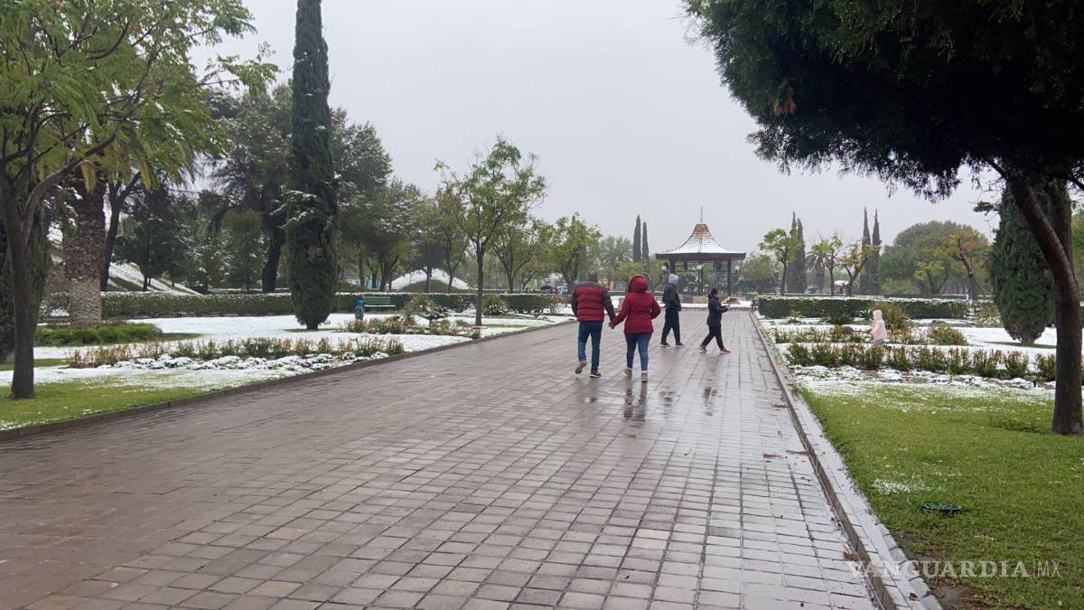 $!Los monclovenses salieron a ver el blanco espectáculo que ofreció la naturaleza.