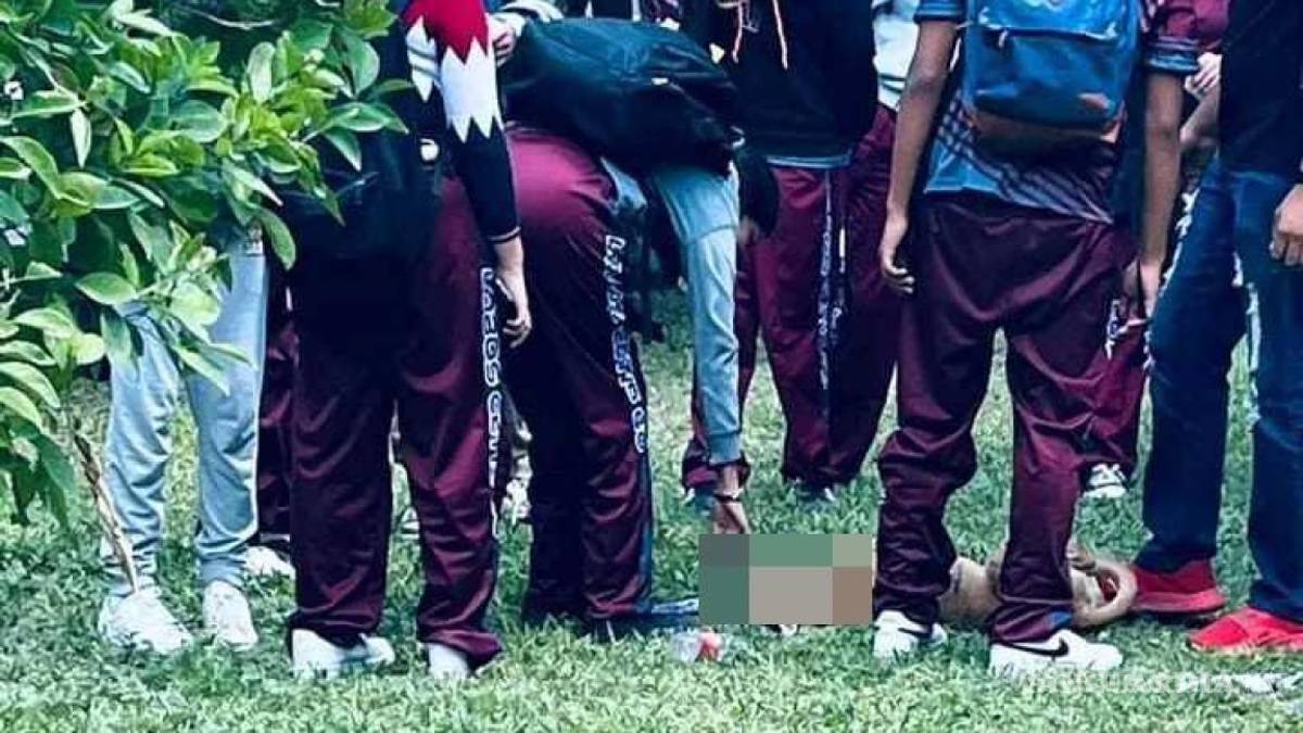 Rescatistas manifiestan su preocupación por casos de crueldad extrema contra mascotas en Saltillo