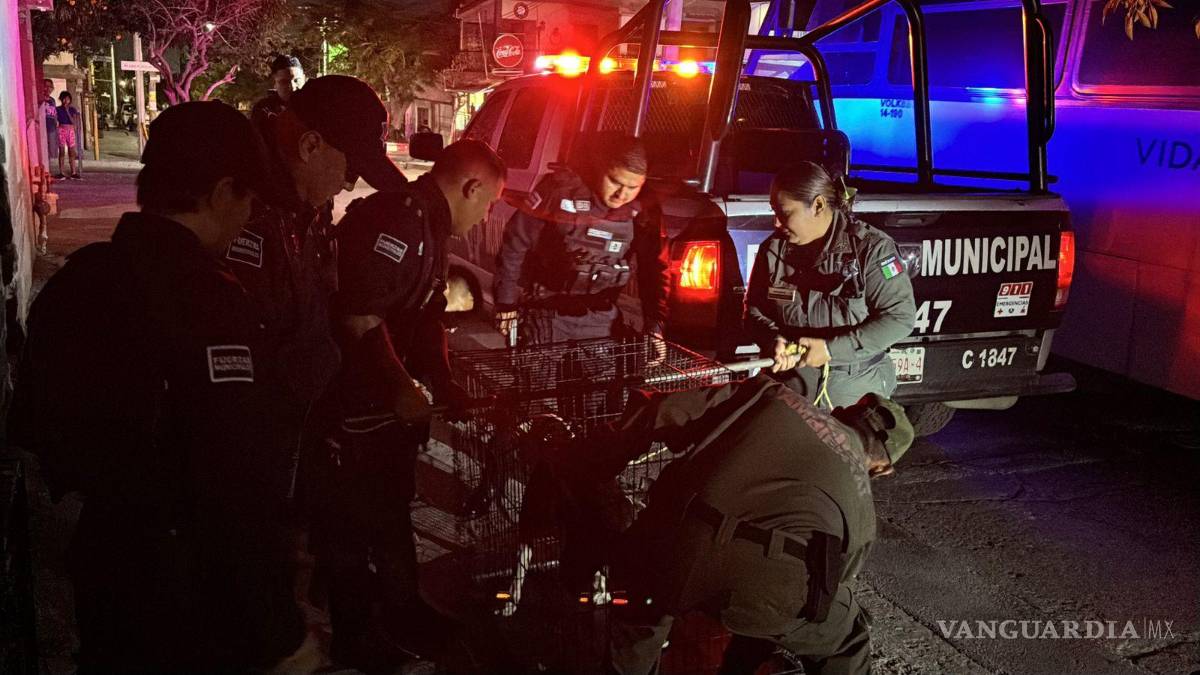 $!Vecinos denunciaron que el dueño del perro se llevó el celular de la víctima tras el ataque.