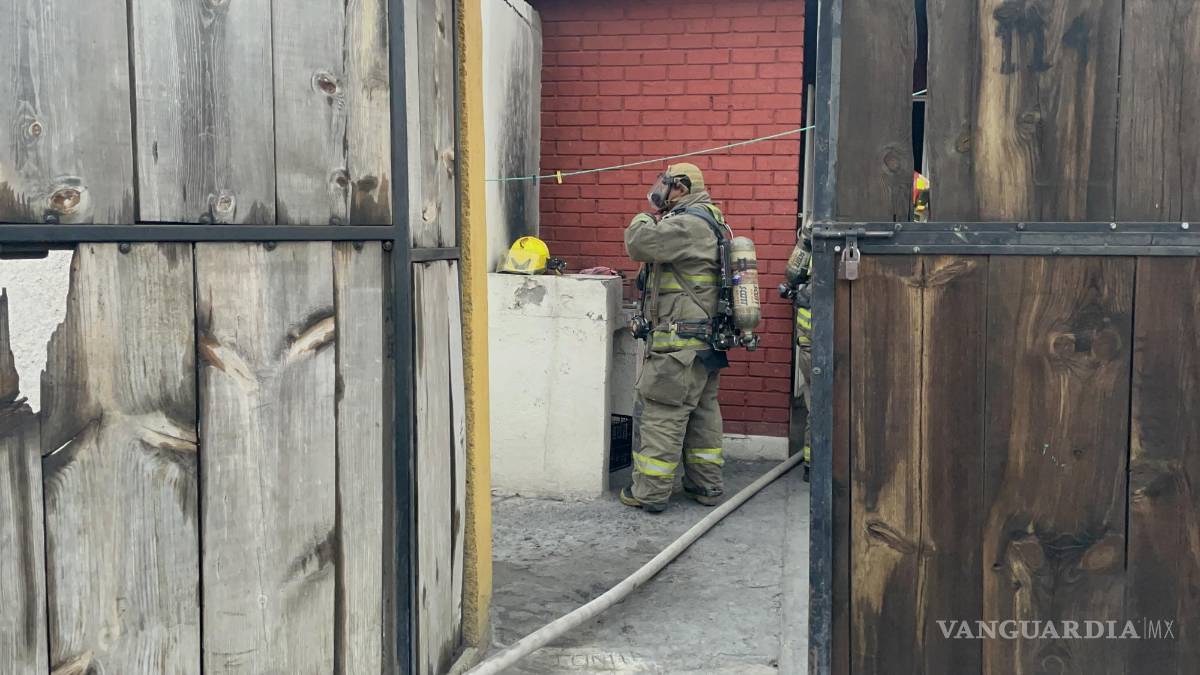 Bomberos rescatan a ‘Princesa’ de incendio en Saltillo; tortuga mascota es entregada a su familia