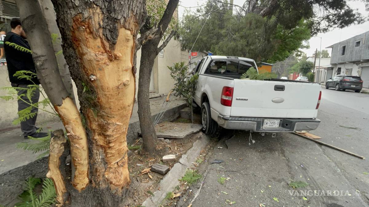 Saltillo: Se estrella contra árboles y se sube a la banqueta