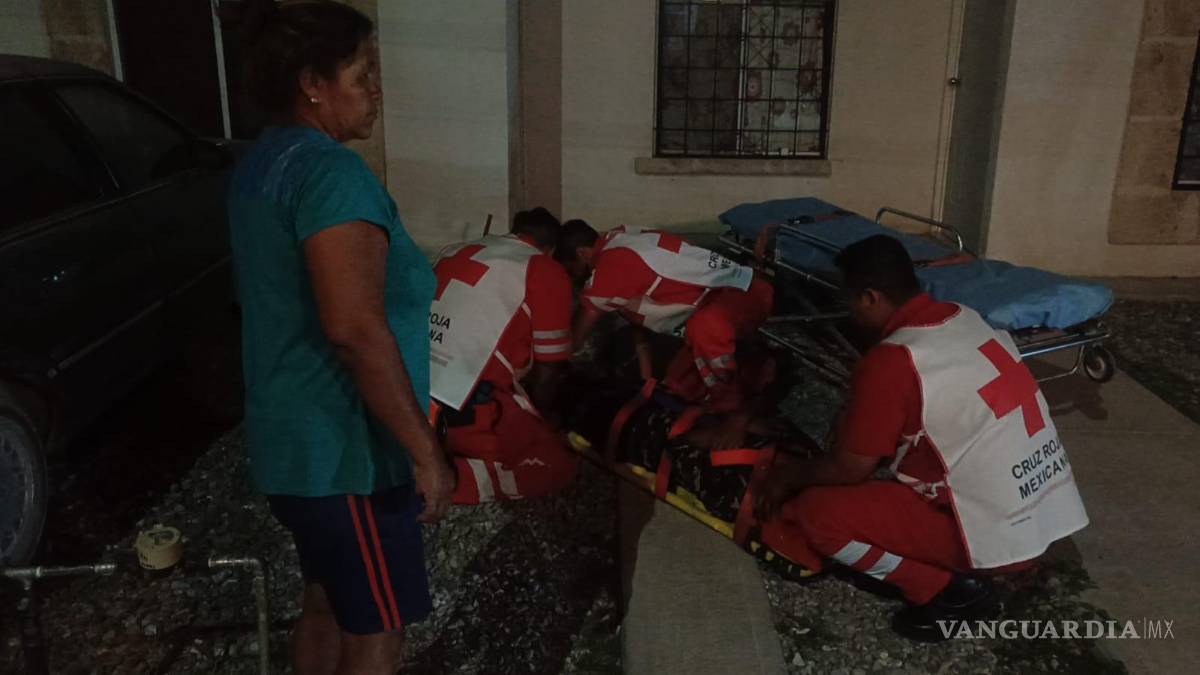 $!El ataque ocurrió sobre la calle Barrio Latino, donde ya se han reportado incidentes similares con los mismos animales.