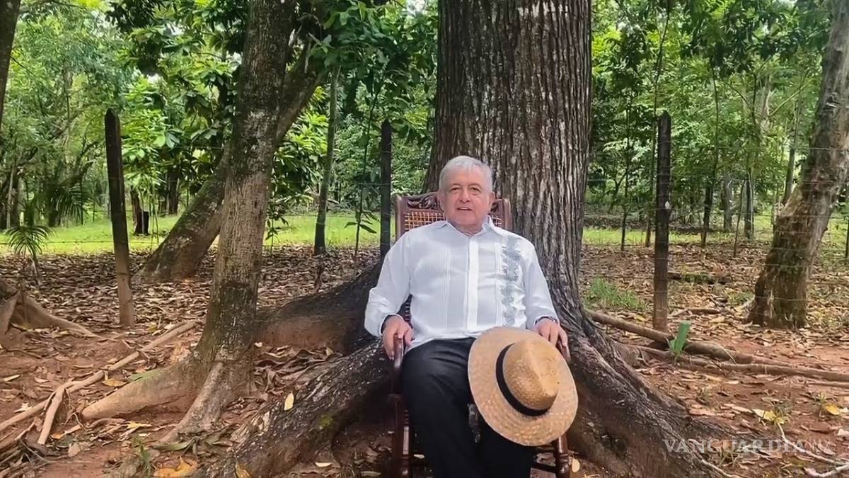 $!AMLO sigue evitando decir cuánto aumentará el valor de su terreno en Palenque, por el Tren Maya