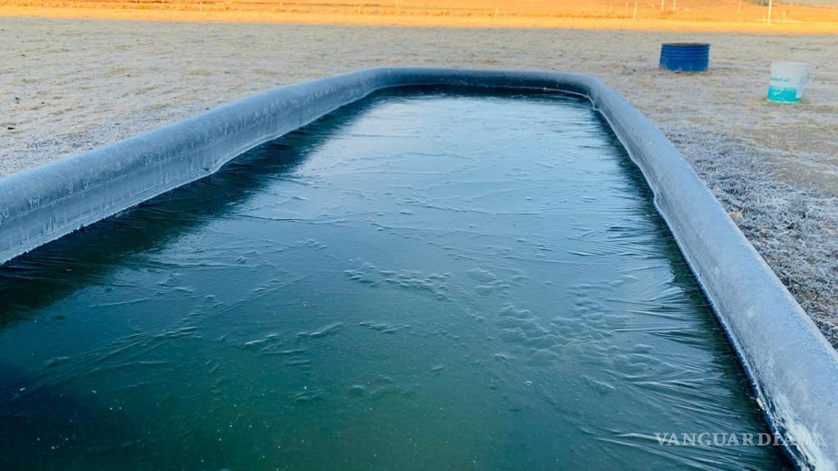 $!Llegan en Arteaga, Coahuila, a -14 grados y 3 pulgadas de hielo