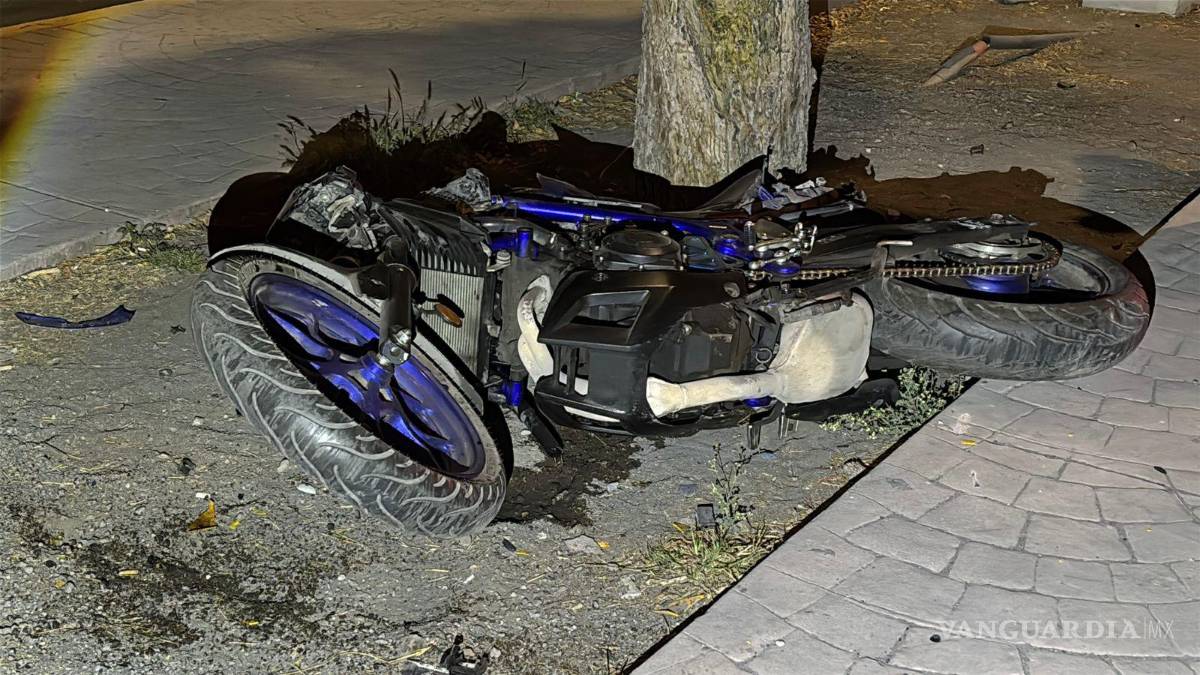 $!El motociclista fue proyectado contra el camellón central tras el impacto.