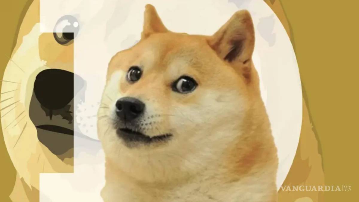 Dogecoin cae un 15%, ¡no vale nada!