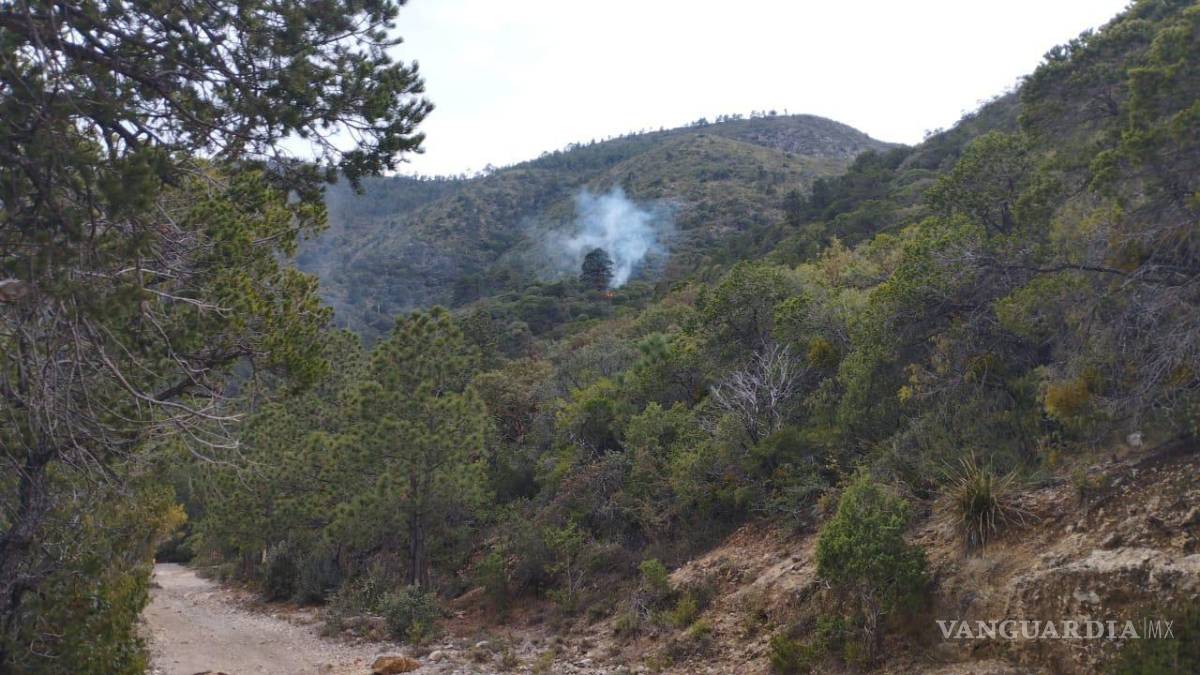 $!El fuego habría iniciado por el impacto de un rayo en un pino.