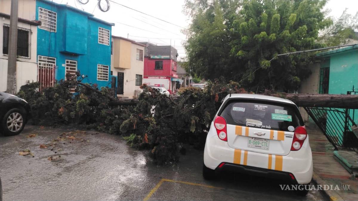$!Intensas lluvias impactan la carretera Saltillo-Monterrey y su cruce con Los Pinos