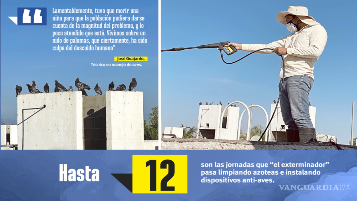 $!El ‘exterminador’ de palomas