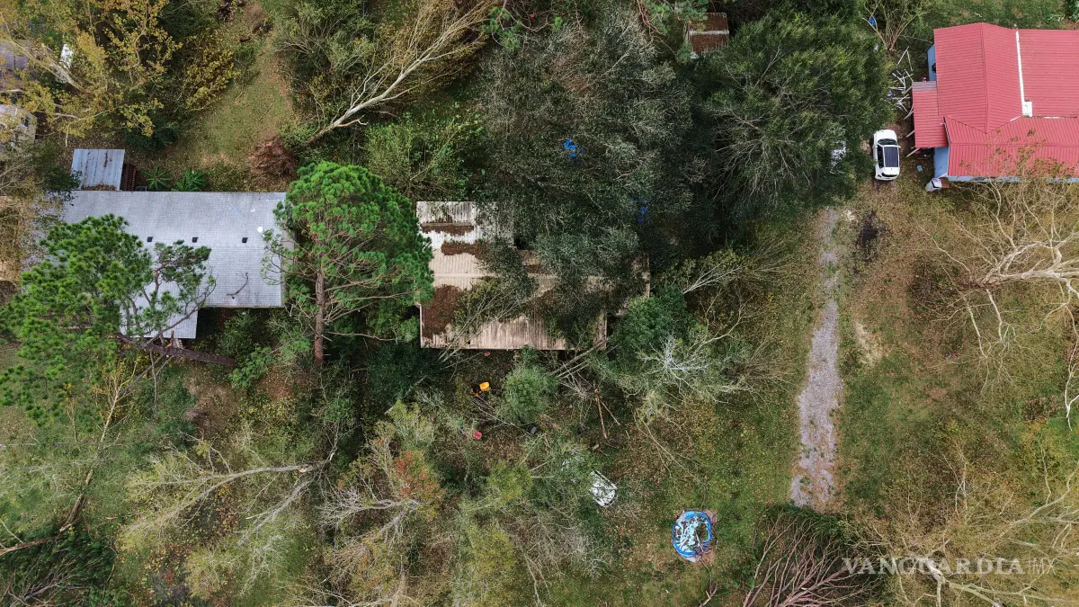 $!Una casa aparece cubierta por árboles caídos tras el paso del huracán Isaias en Milton, Florida, el sábado 10 de octubre de 2026.