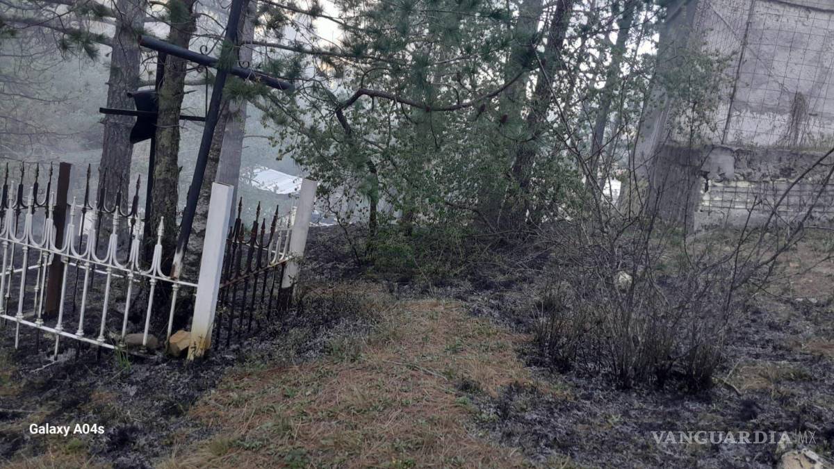 $!El área boscosa fue devastada por el incendio en el Cañón de San Antonio, Arteaga.