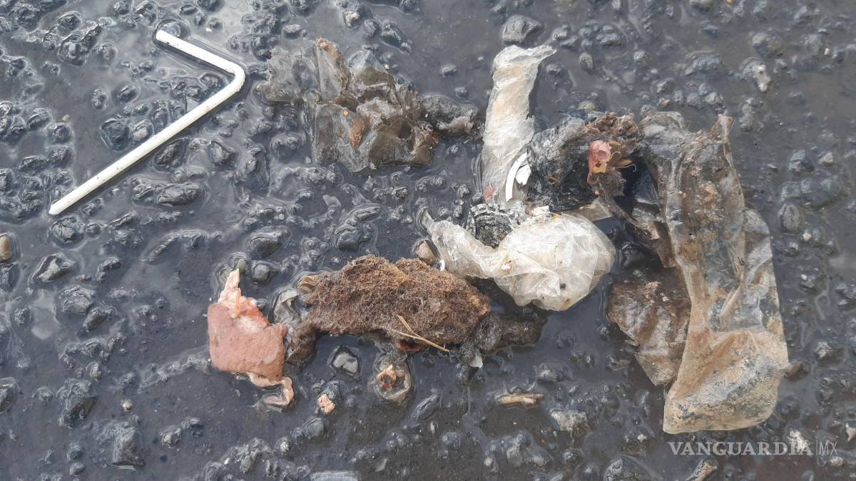 $!Al momento de acudir al lugar aún había pedazos de carne.