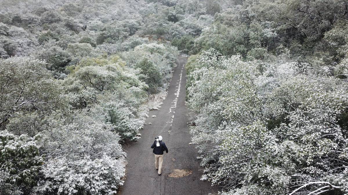 Pronostican temperaturas congelantes en Coahuila por frente frío 17