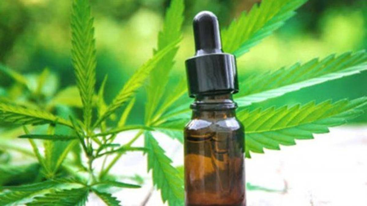 Irían vendedores de productos para mariguana por regulación