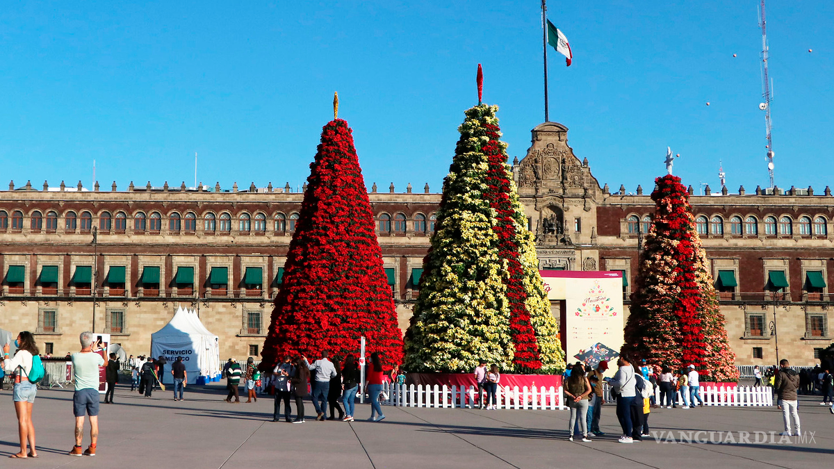 $!Contrario a lo que se dice, el primer lugar donde se intalaría un Pino Navideño no sería en Palacio Nacional, sino en el Castillo de Chapultepec.