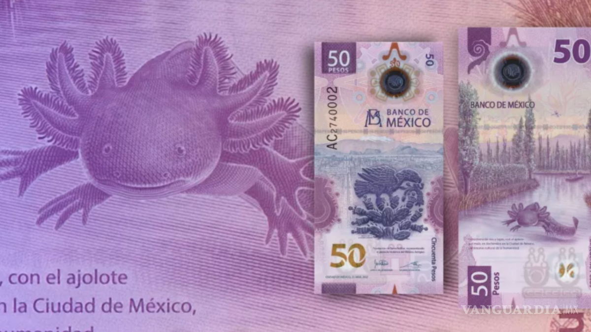 $!El billete en cuestión pertenece a la familia G, está fabricado en polímero morado.