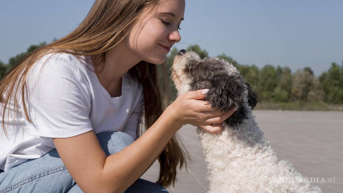 $!Cuando una persona y su perro se miran mutuamente de manera prolongada, los niveles de oxitocina de ambos se elevan.
