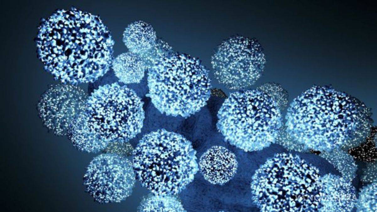 $!Temor al Paciente Cero