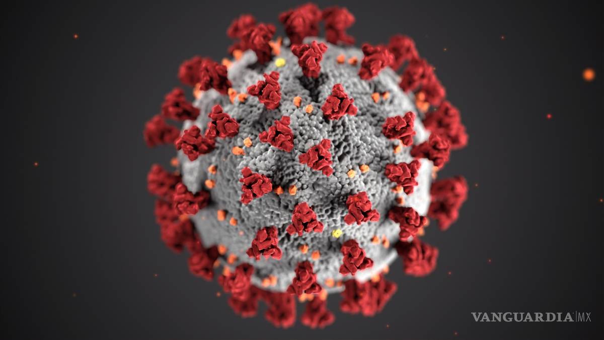 $!Alerta en Japón por bacteria carnívora que mata en 2 días