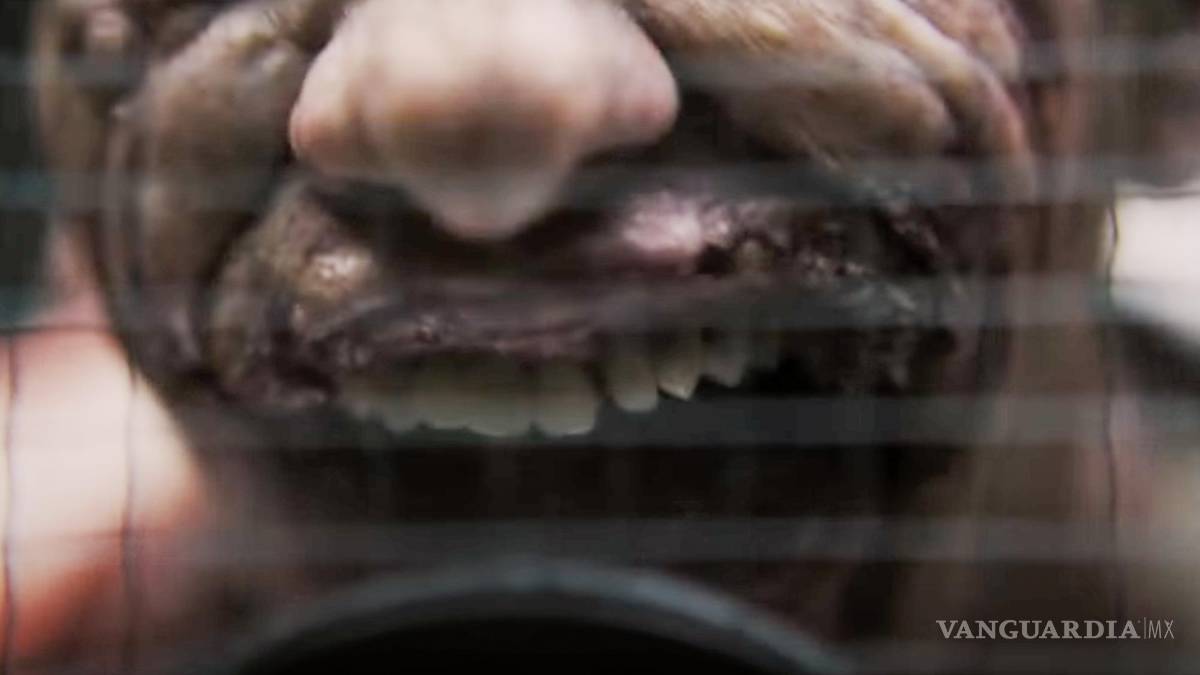 $!Al cineasta le gustó la idea de sugerirle a la audiencia que Ciudad Gótica está plagada de villanos justo al final de la historia, como el Joker.