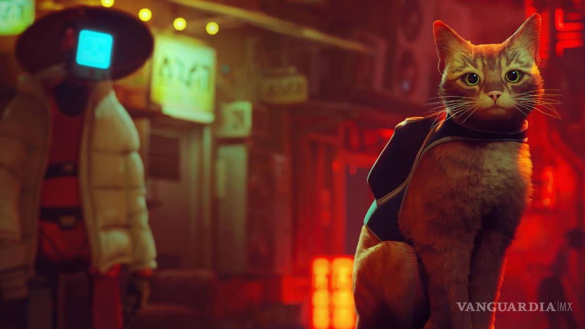 $!Stray: ¿Porqué queremos jugar a ser un gato?