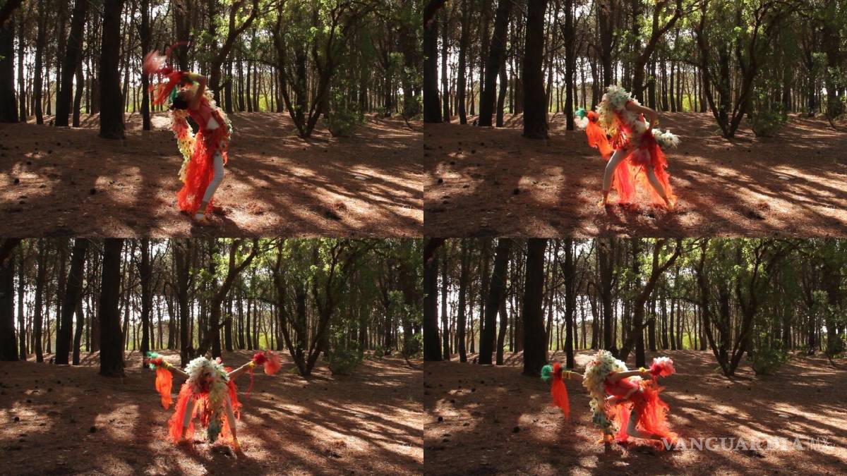 $!Obra de Paz Pereira.