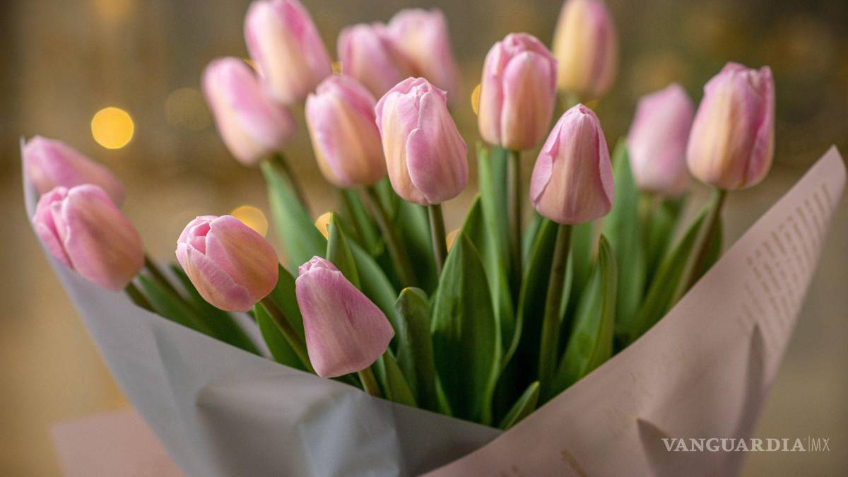 $!Ramo de tulipanes.