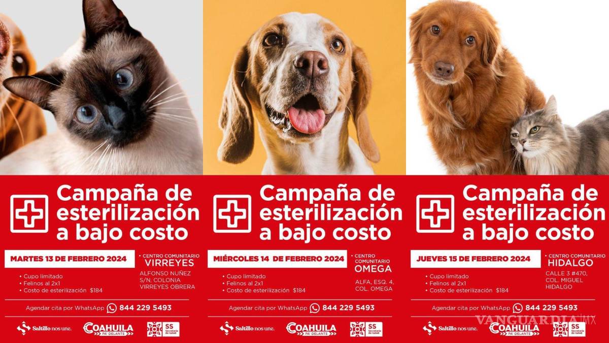 $!Veterinarios realizarán cirugías de esterilización en los diferentes centros comunitarios como parte de la iniciativa municipal.