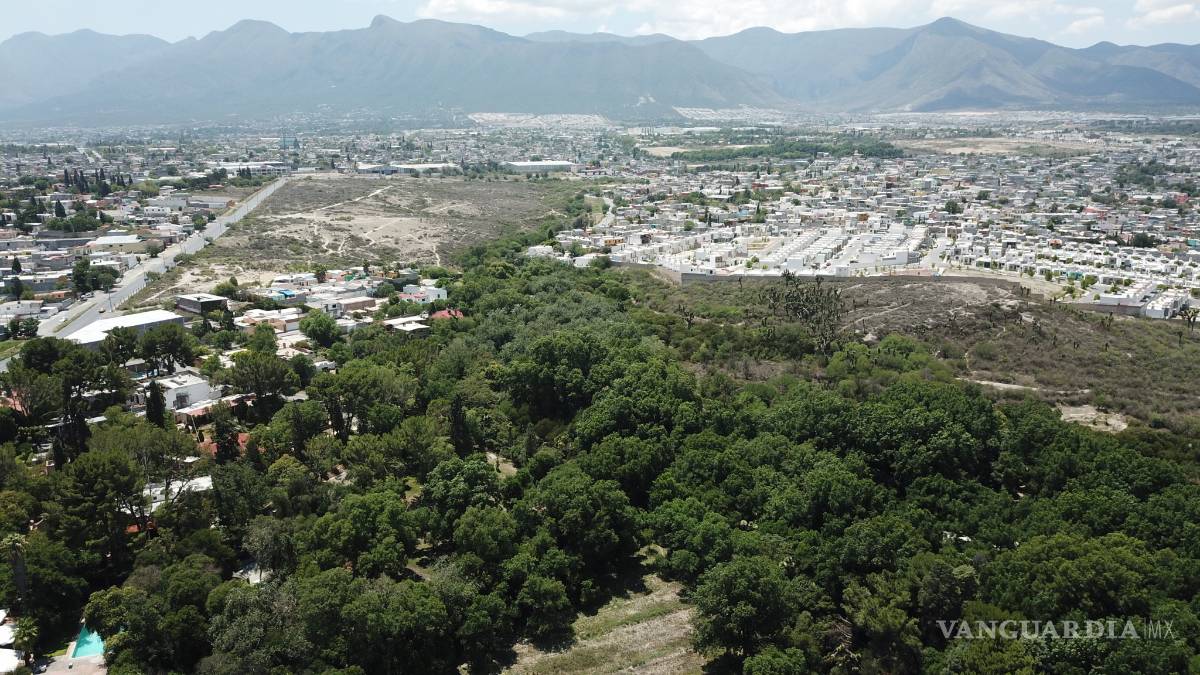 $!Atrapan a oso en zona urbana de Saltillo