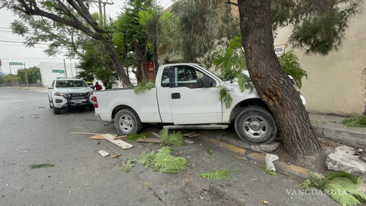 Saltillo: Se estrella contra árboles y se sube a la banqueta