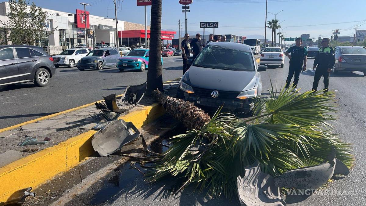 Mujer choca y parte en dos una palmera, en Saltillo