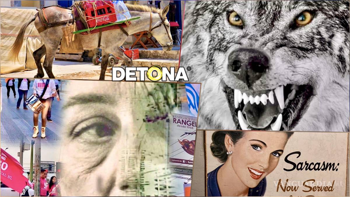 Entre mulas y lobos, nomás patadas, mordidas y aullidos se oyen