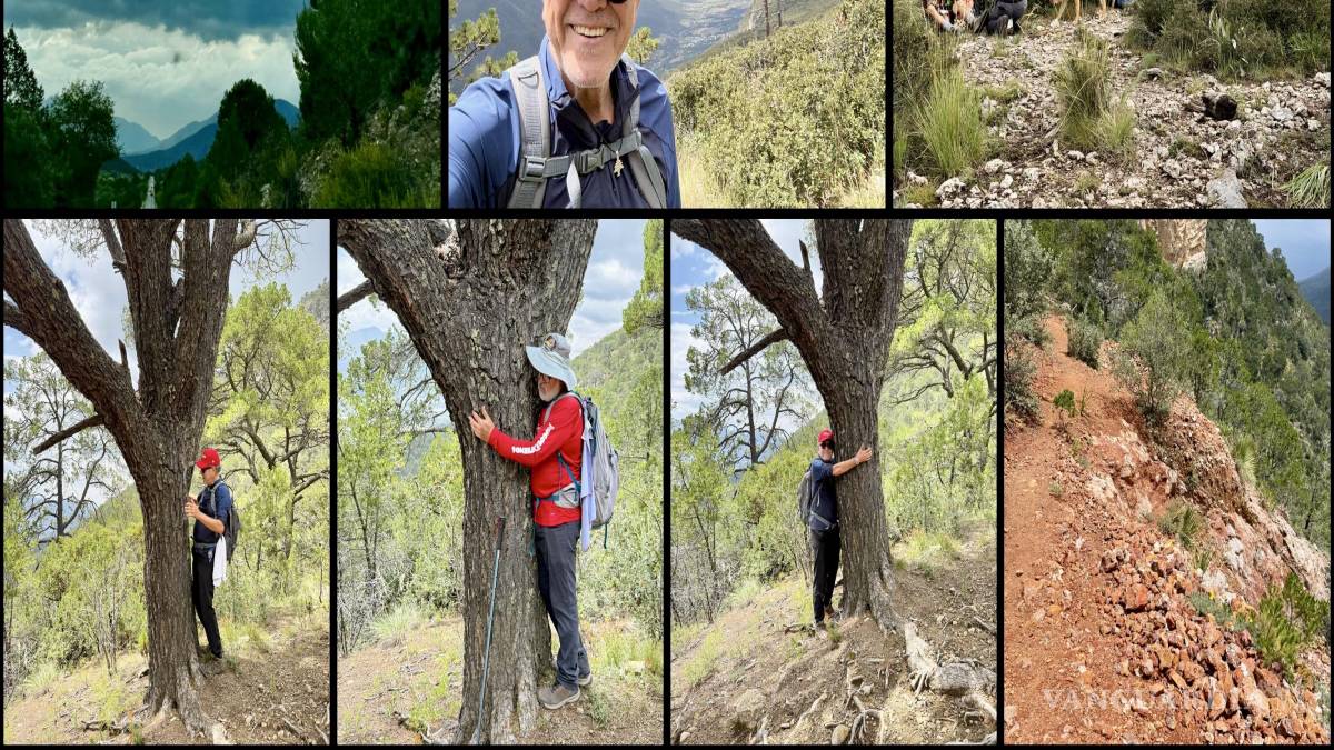 $!Libera la montaña: culpas, rencores, revanchas, venganzas y otros instintos primarios.