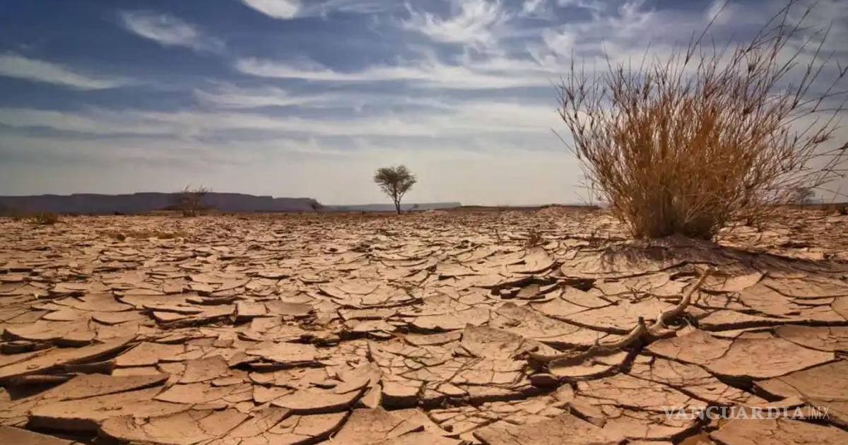 El planeta agota sus recursos... Sobrecapacidad de la Tierra provocaría consecuencias críticas como escasez de agua y comida, efecto invernadero y desplome financiero mundial