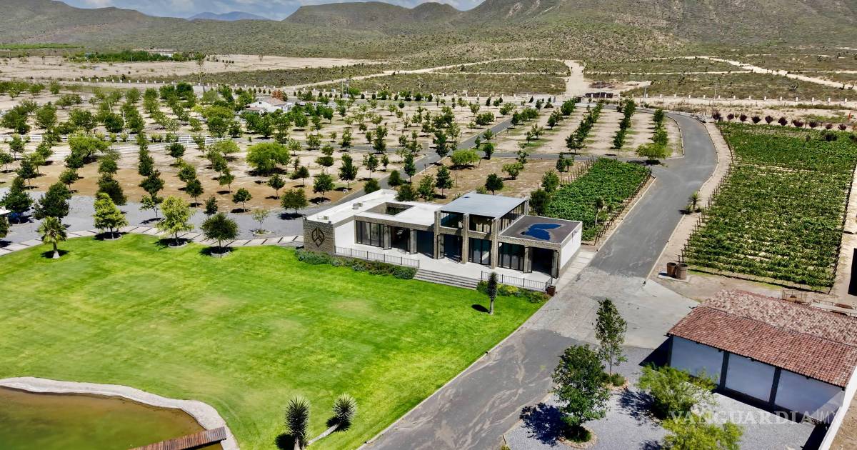 Ramos Arizpe brinda por su identidad con el Wine Fest 2026