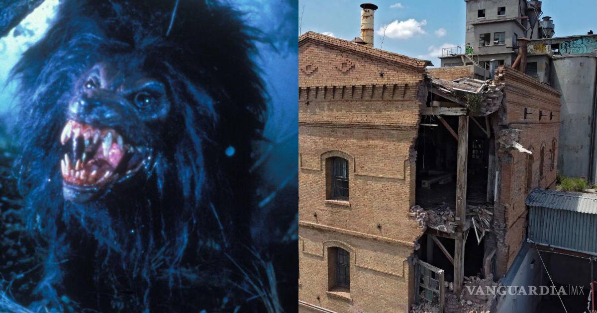 Desde la Deportiva hasta ex-molinos la Colmena: el cine de terror se apoderará de Saltillo