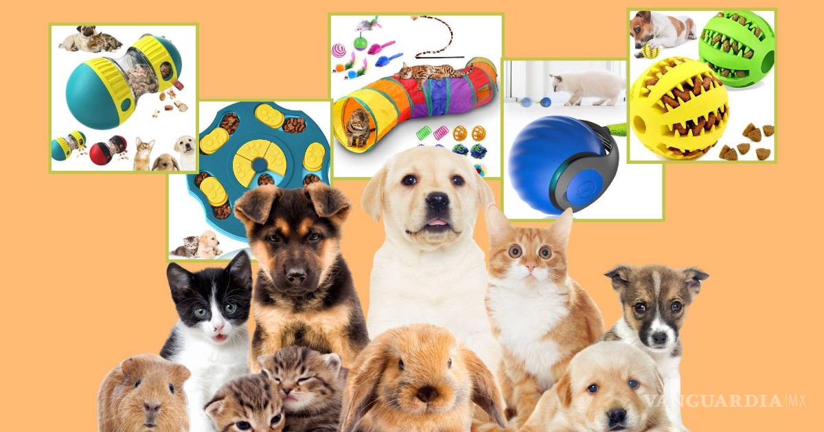 Los mejores 5 juguetes de Amazon para entretener tus animales de compañía
