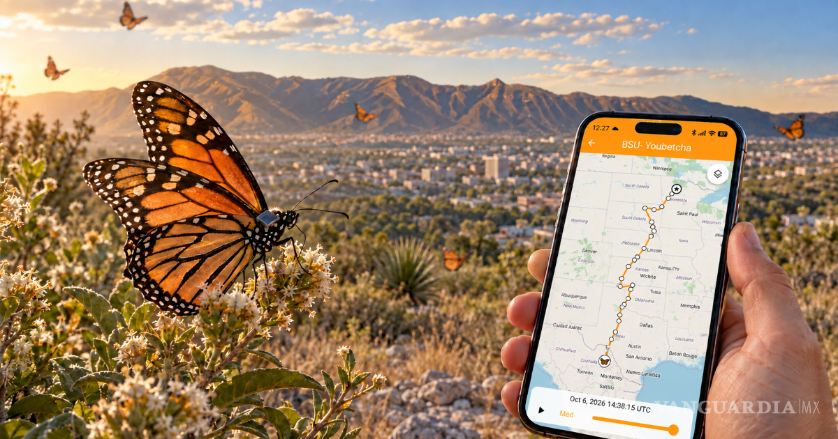 Mariposas Monarca están por llegar a Saltillo; detéctelas en su celular con esta aplicación